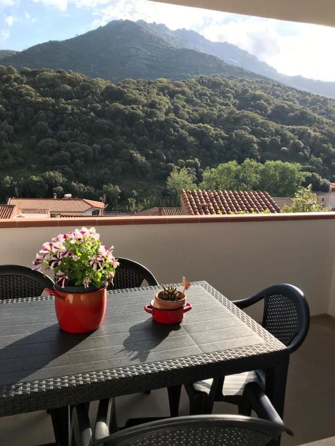 La Corbula - - Q5992 Holiday home Fluminimaggiore