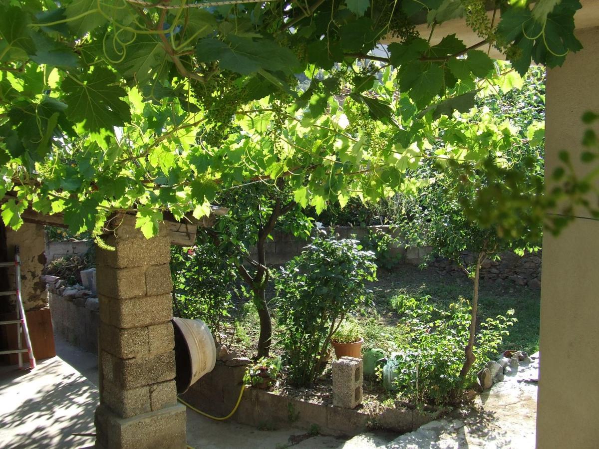 Holiday home La Corbula - - Q5992 Fluminimaggiore